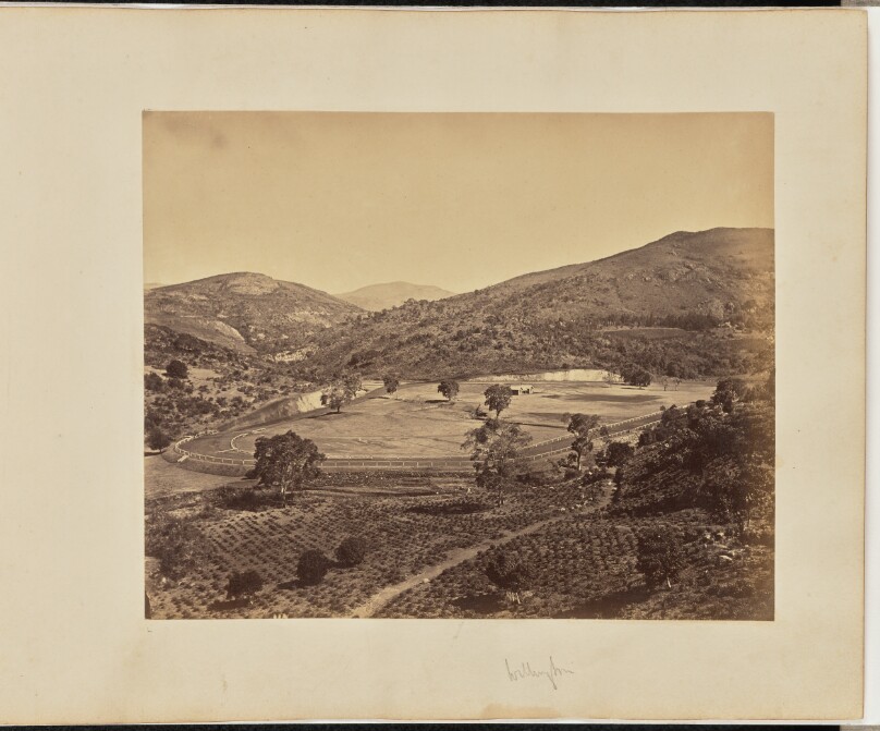 Wellington