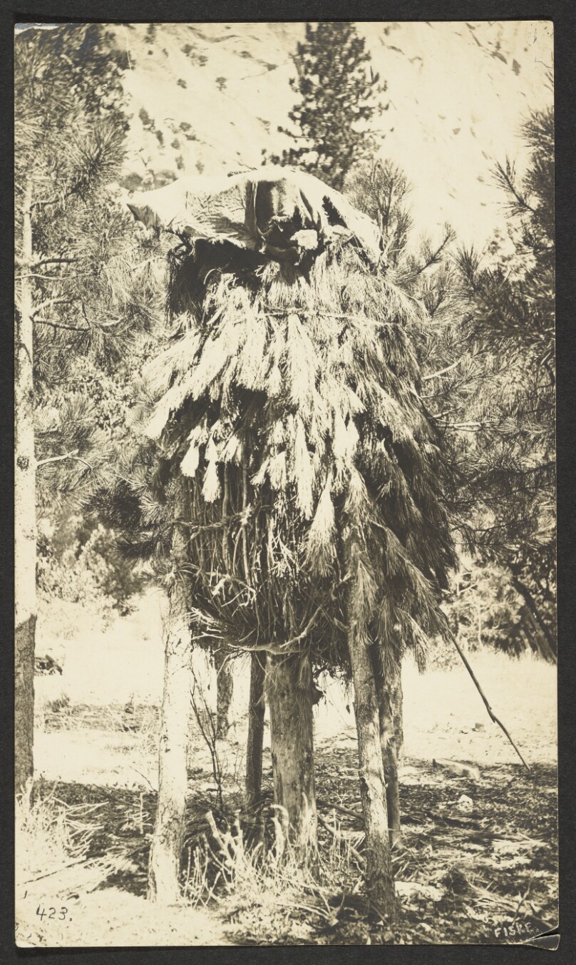 Caches for Drying Acorns