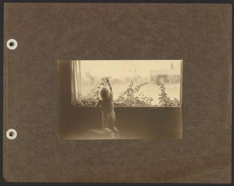 [Chandler Weston nude, kneeling in front of a window, back view]