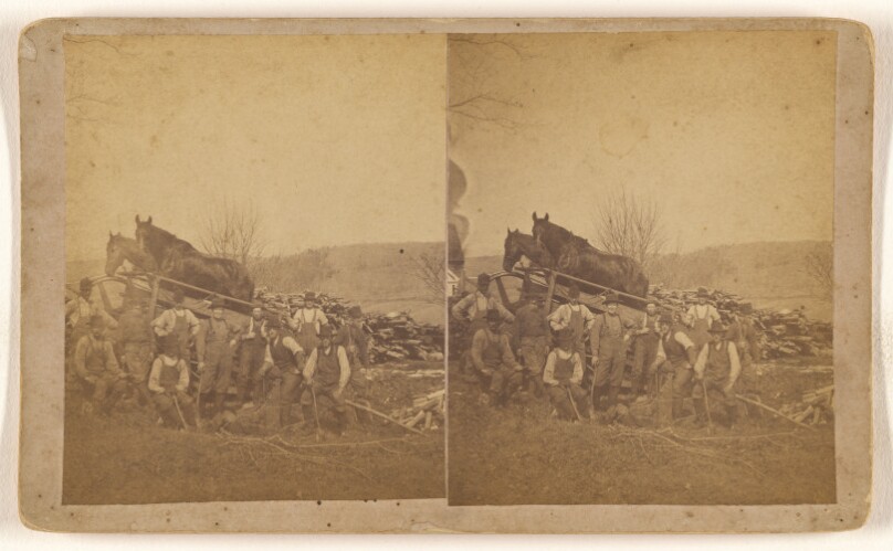 [Men posed in a field, team of horses behind]