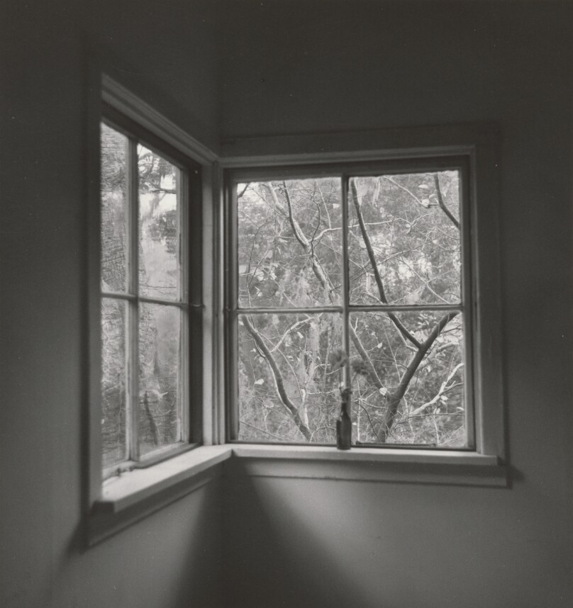 Untitled interior