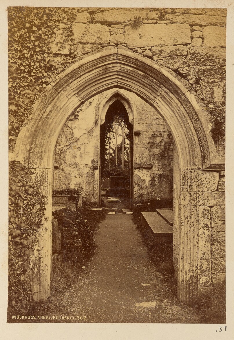Muckross Abbey, Killarney