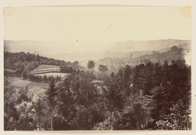 Landscape