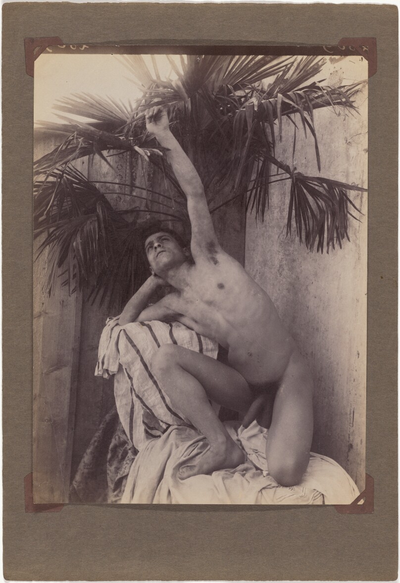 [Young Man, Nude]
