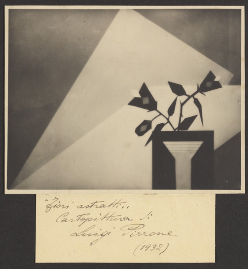Fiori Astratti