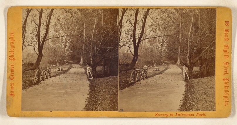 [In the Glen, Belmont, Fairmount Park, Philadelphia, Pa.]