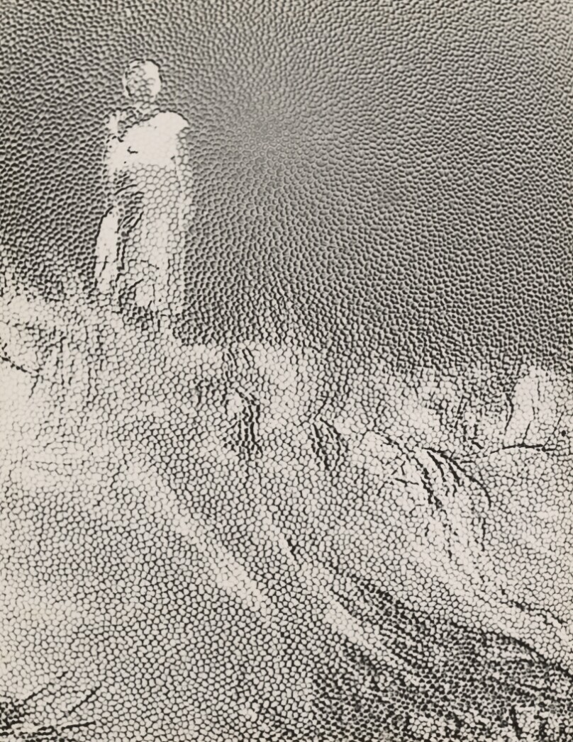Lilo on the Dune (reticulated)