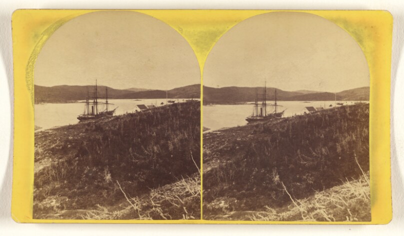Labrador. Bartlett's Station (Pincent's Arm.)