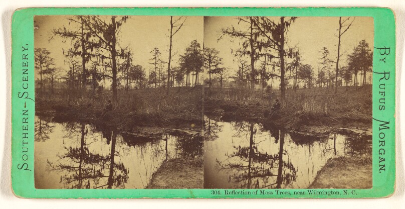 Reflection of Moss Trees, near Wilmington, N.C.