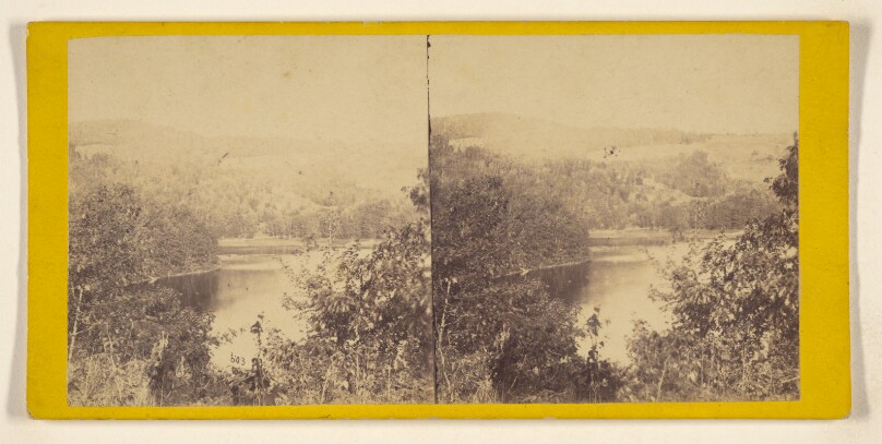 Hills and Dales of New England. Lake View in the Gold Regions, Plymouth, Vt.