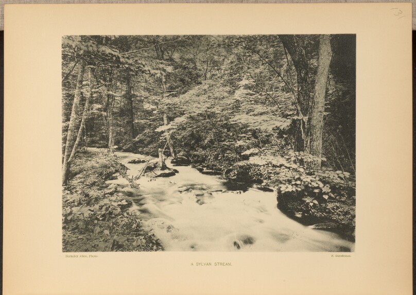 A Sylvan Stream