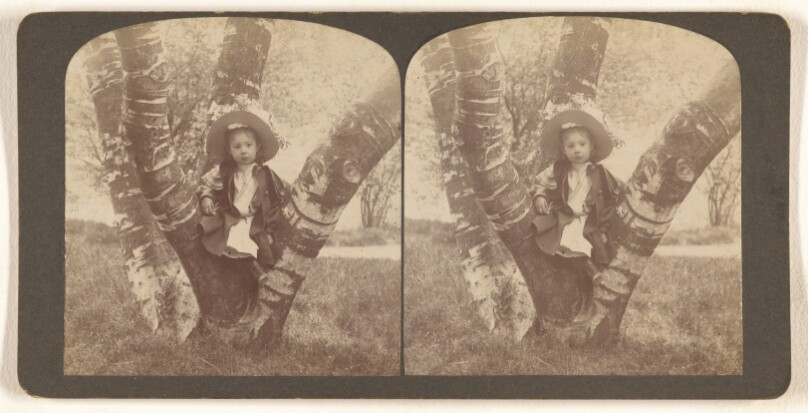 [Mildred sitting on birch Tree, Washington Park, Albany, N.Y.]