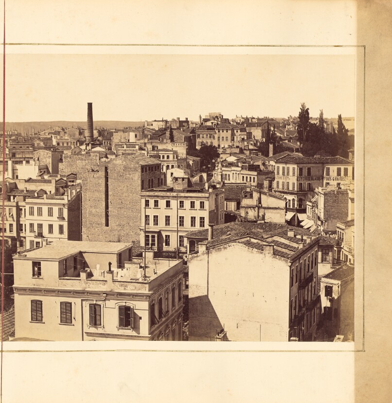 [Plate 14]