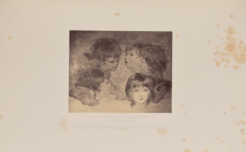 Angels Heads, by Sir Joshua Reynolds, R.A.