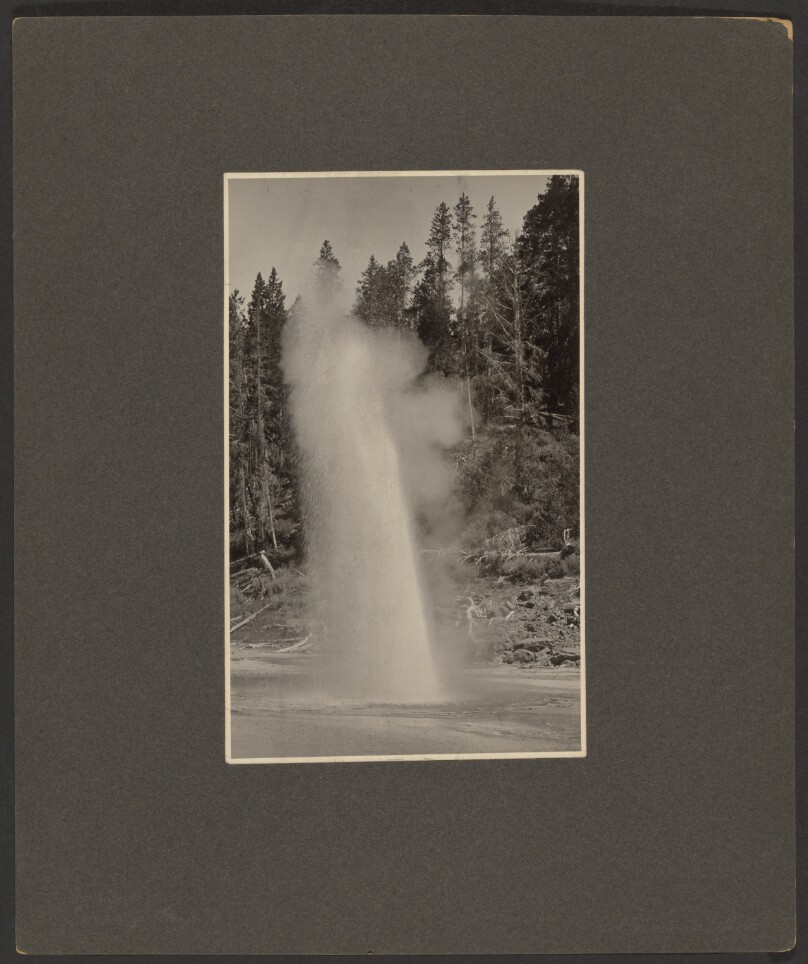 [Geyser]
