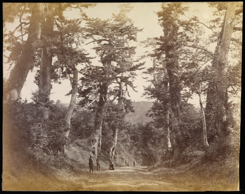 View on the Tokaido