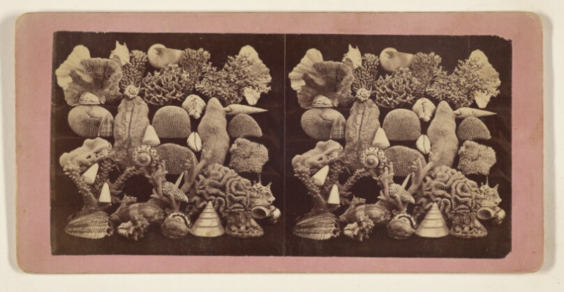 Gems of the Ocean.