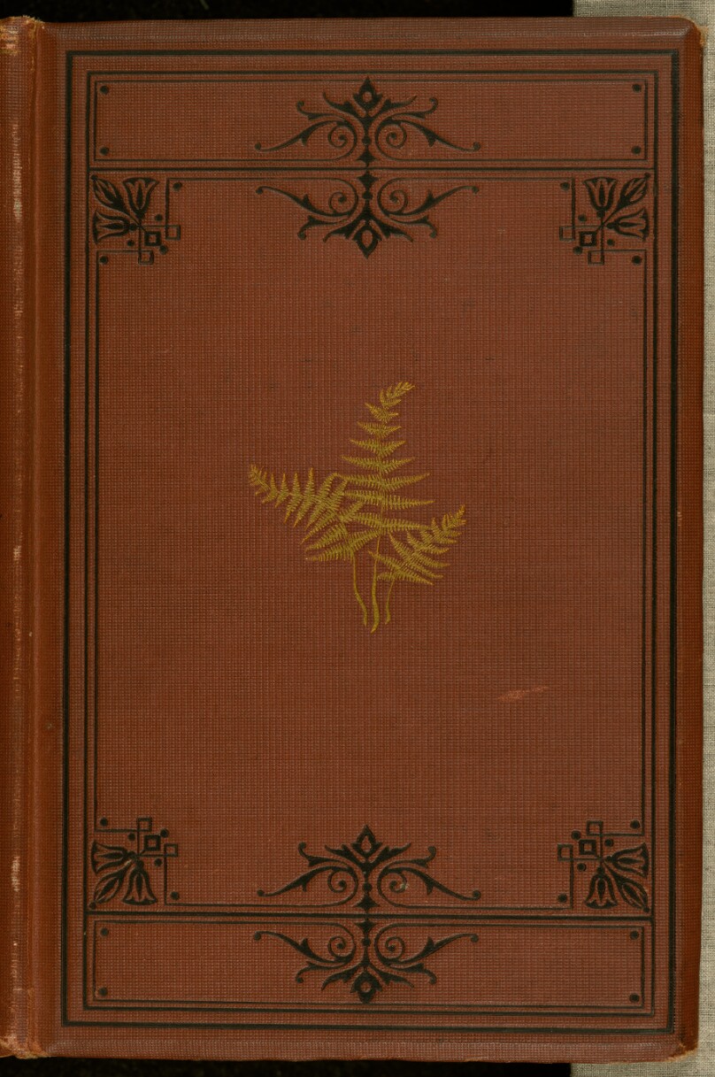 The Birds and Seasons of New England. With Illustrations.