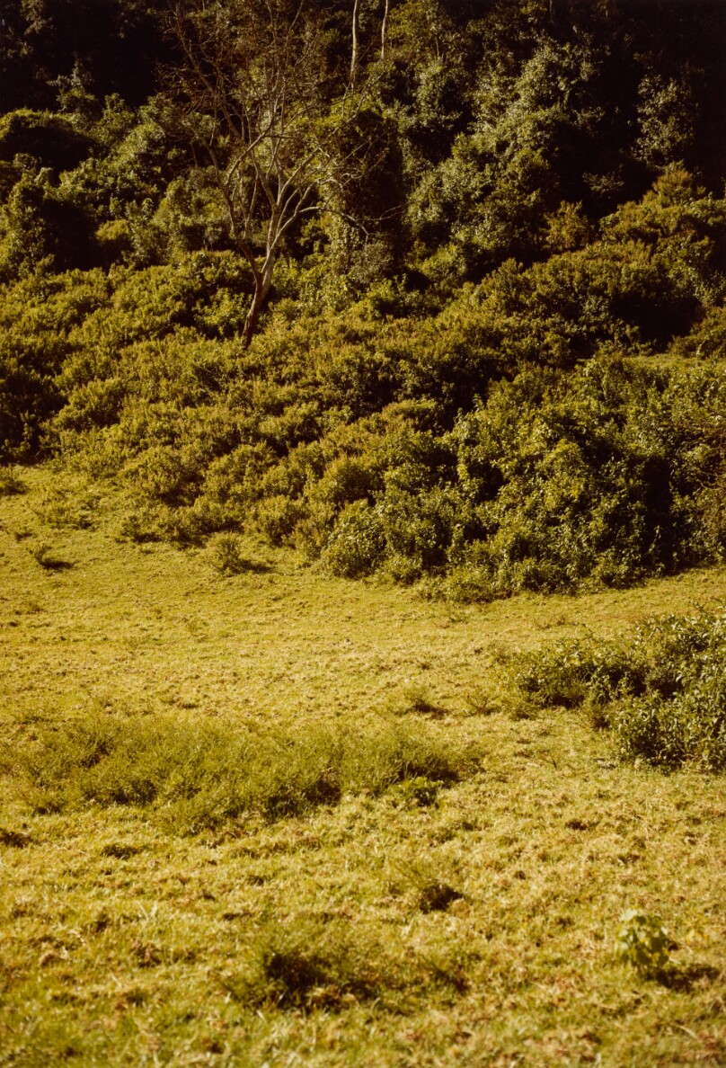 [Landscape]