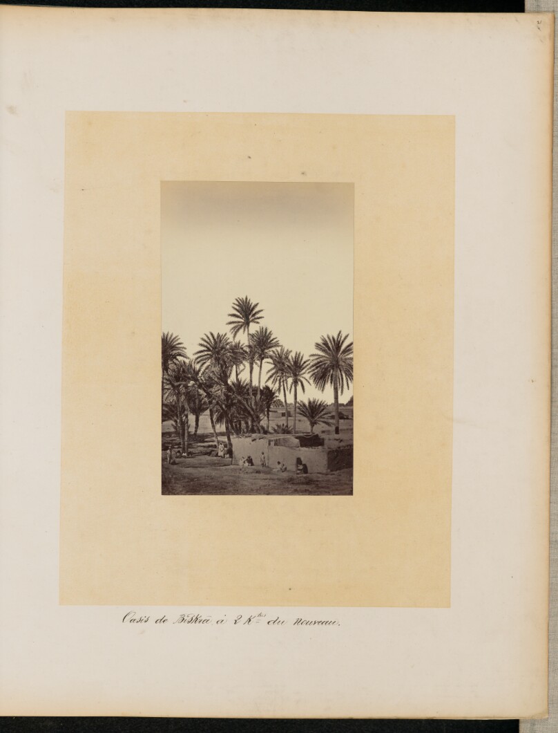 [Oasis de Biskra]