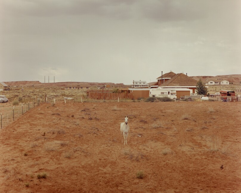 Page, Arizona, August 1982 (Lone Horse)