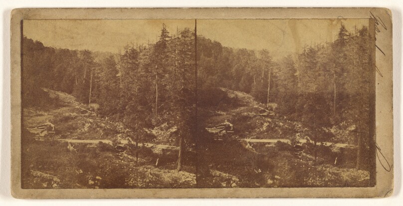 [Forest vista] (recto); [Unidentified city view with vineyard in foreground] (verso)