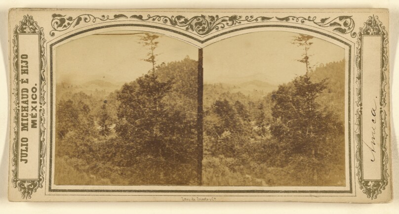 Julio Michaud & Son