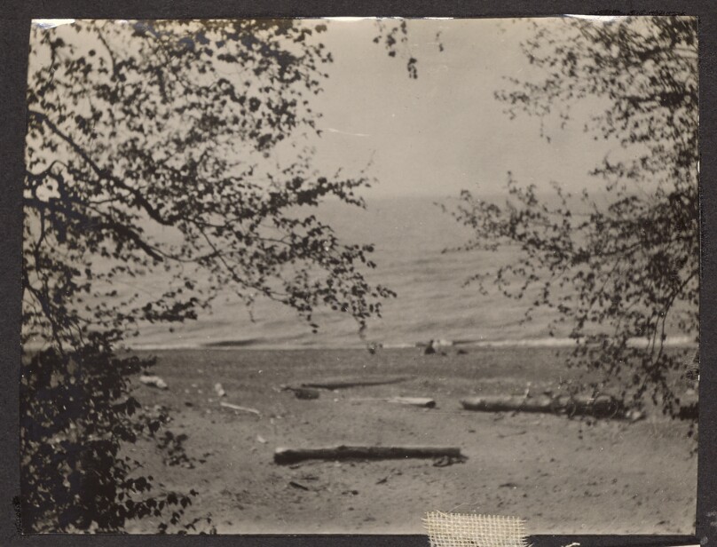 [Sandy beach and water]