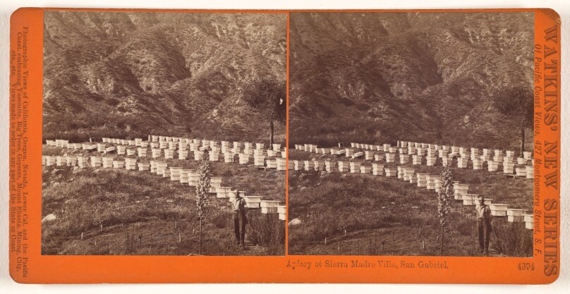 Apiary at Sierra Madre Villa, San Gabriel