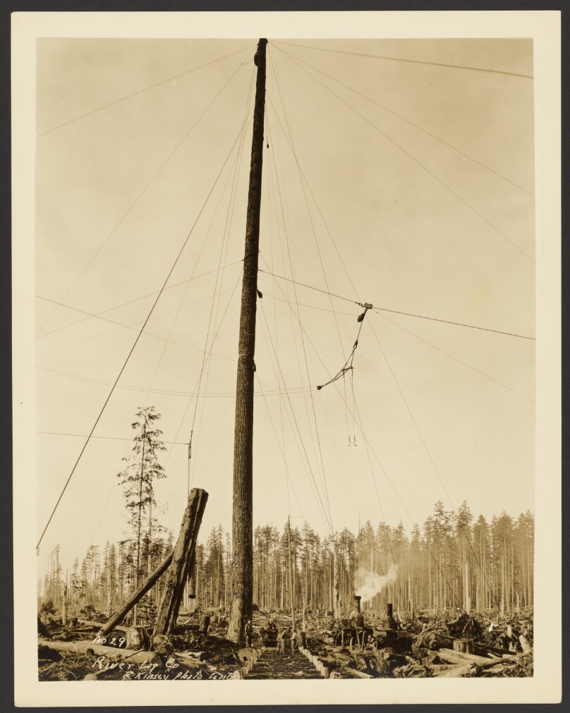River Log Co.