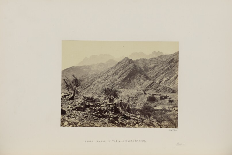 Wadee Feyran in the Wilderness of Sinai