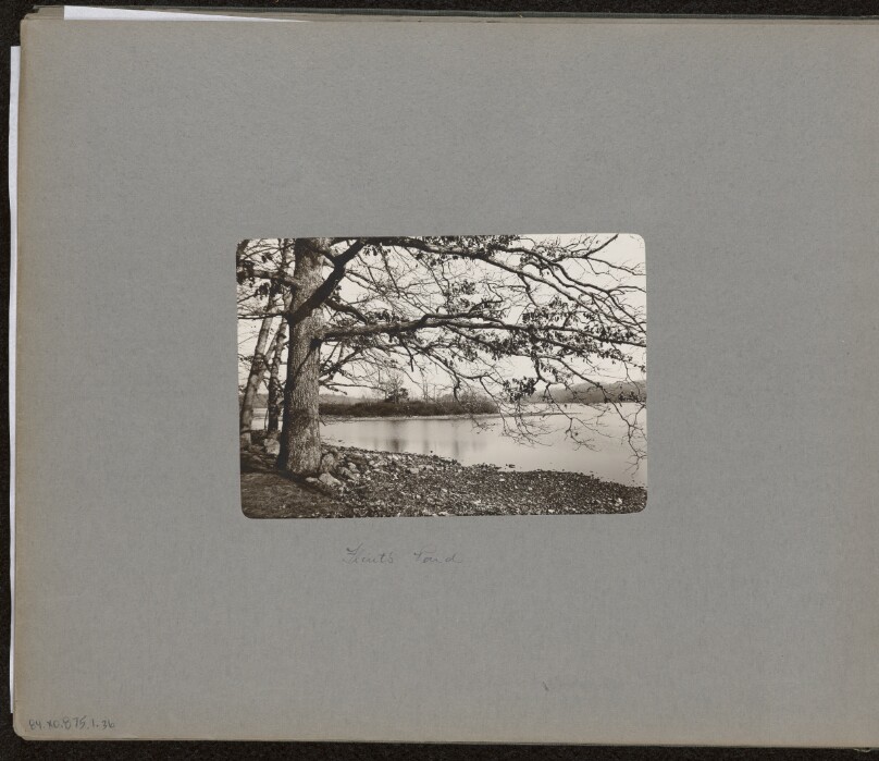 Flint's Pond