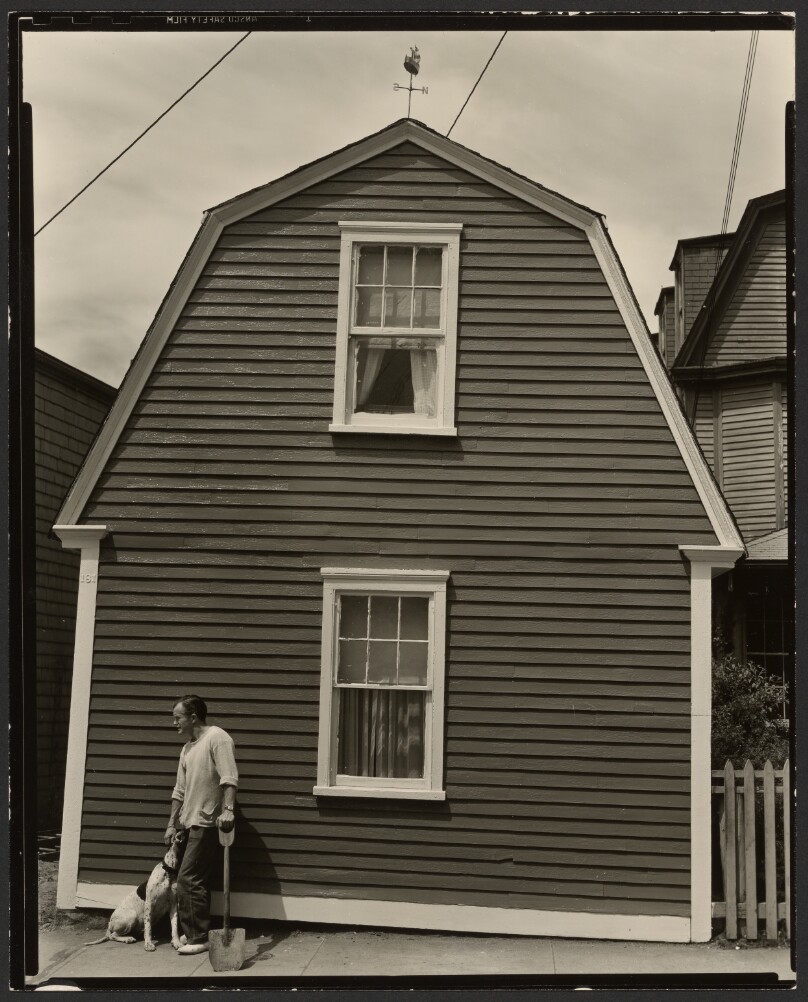 Man and Dog