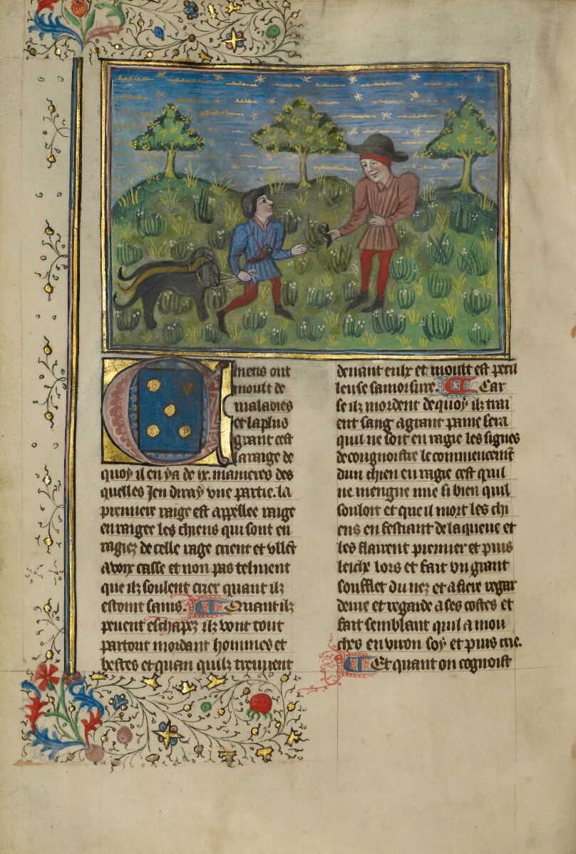 A Doctor, a Hunter, and Three Sick Dogs