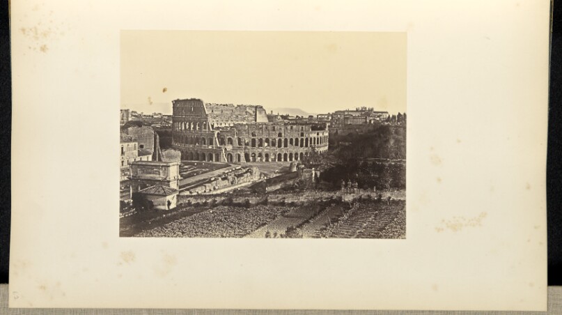 The Coliseum