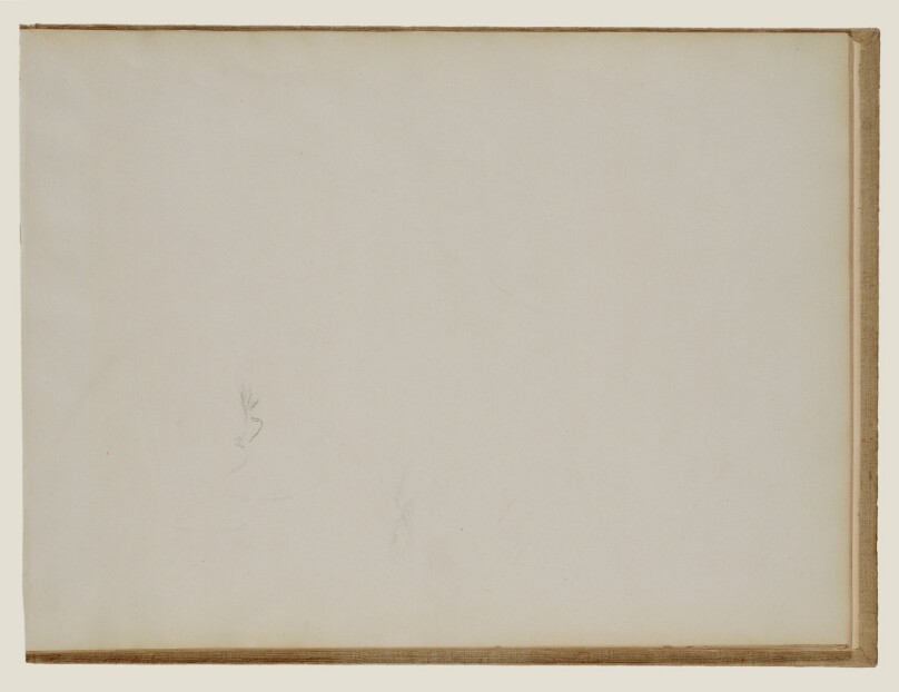 Sketch of Man's Head