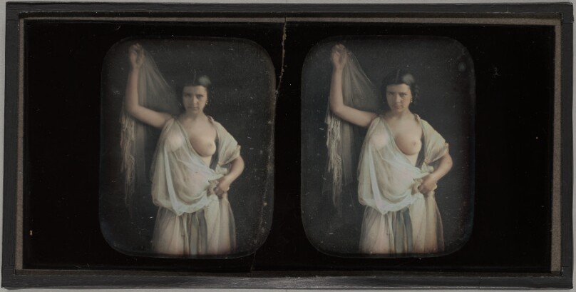 [Standing Female Nude in Diaphanous Gown]