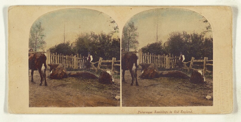 Picturesque Ramblings in Old England.