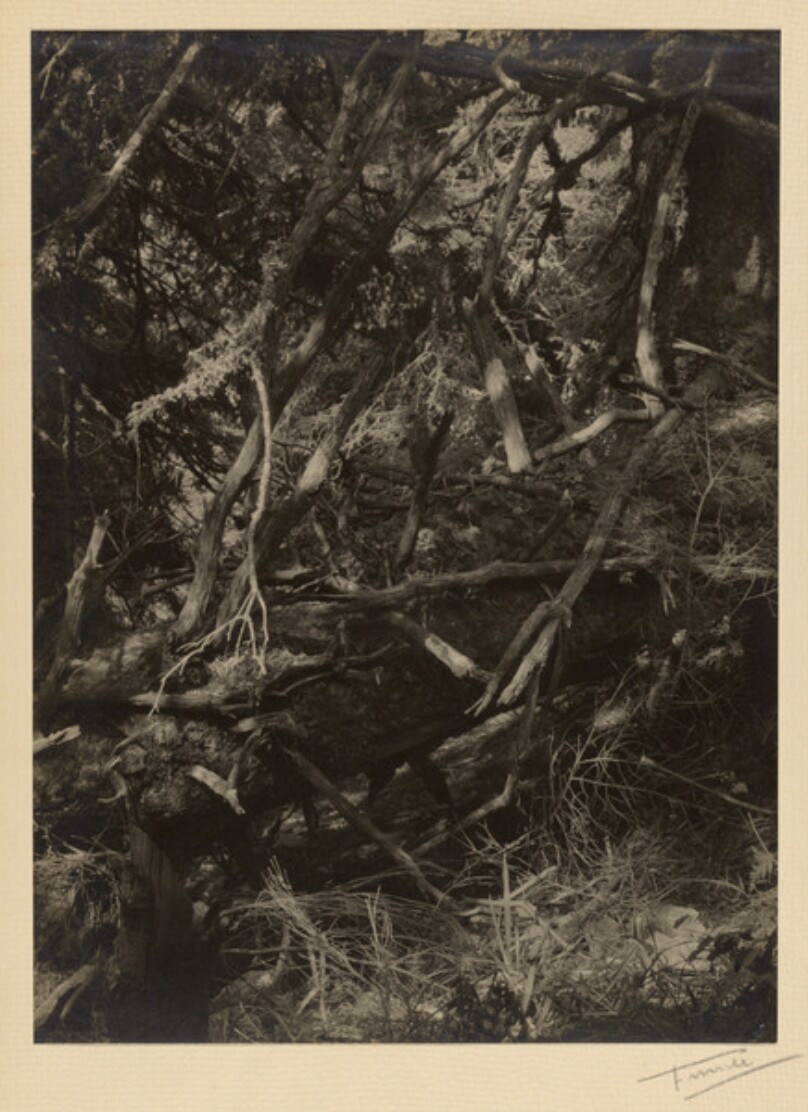 [Untitled]