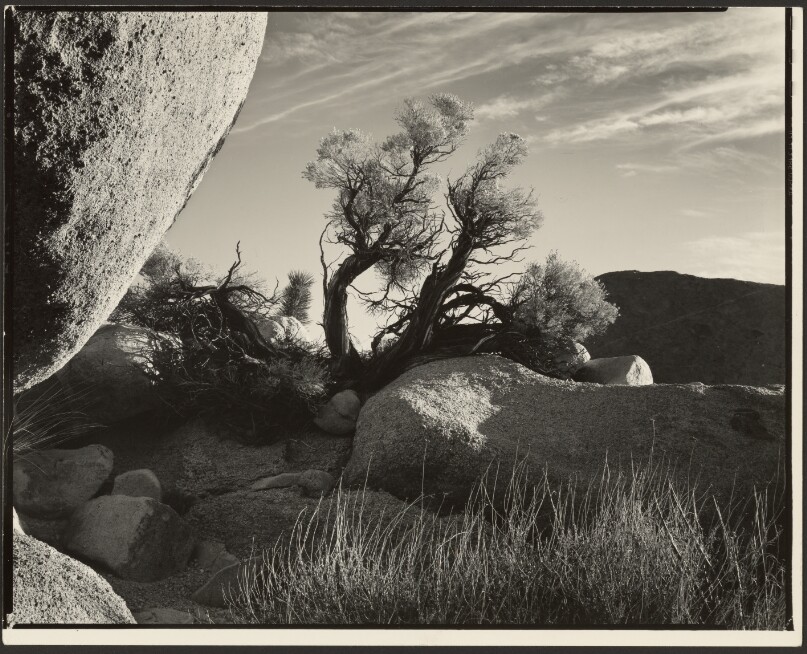 California Desert