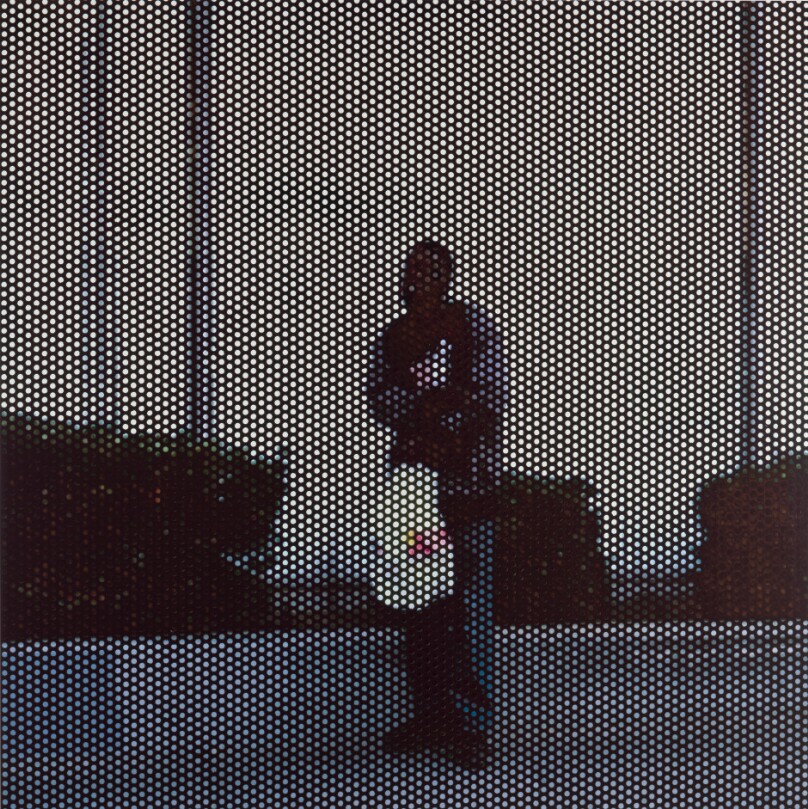 Screened Picture #2