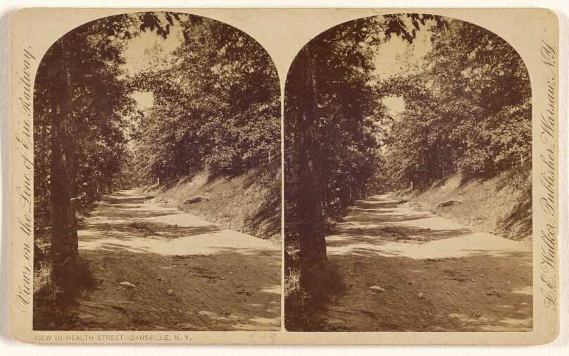View in Health Street - Dansville, N.Y.