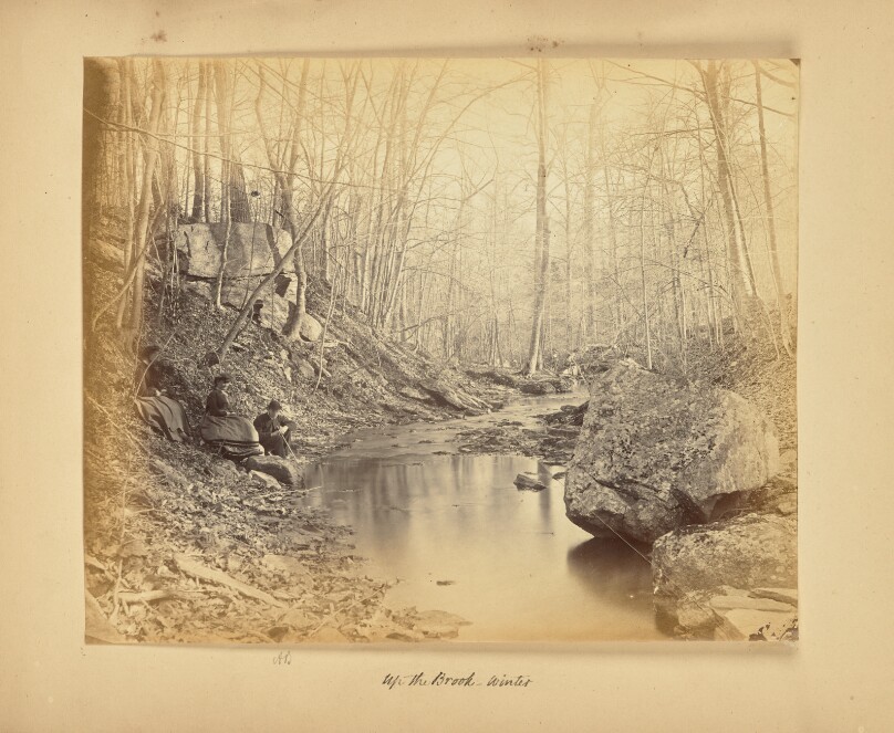 Up the Brook - Winter