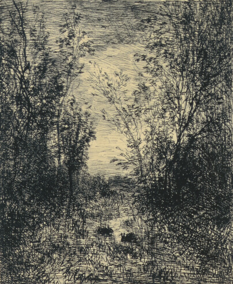 Le Ruisseau Dans La Clairière