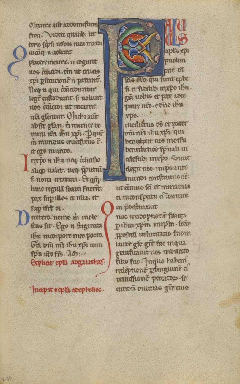Decorated Initial P