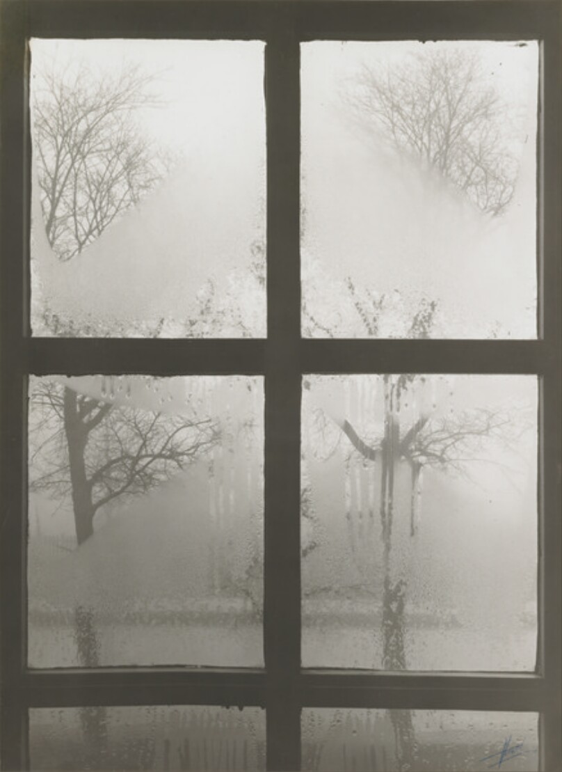 [Trees Through Misted Window Panes]