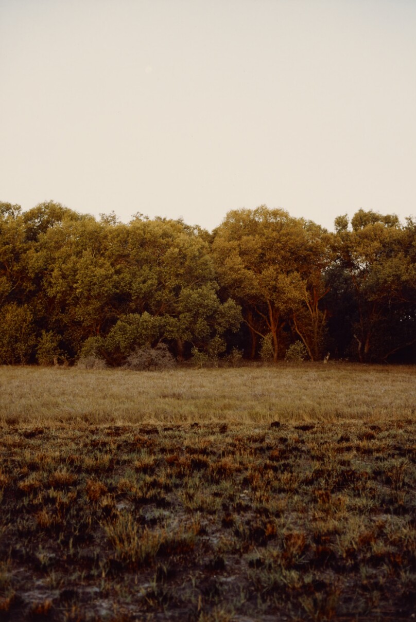 [Landscape]