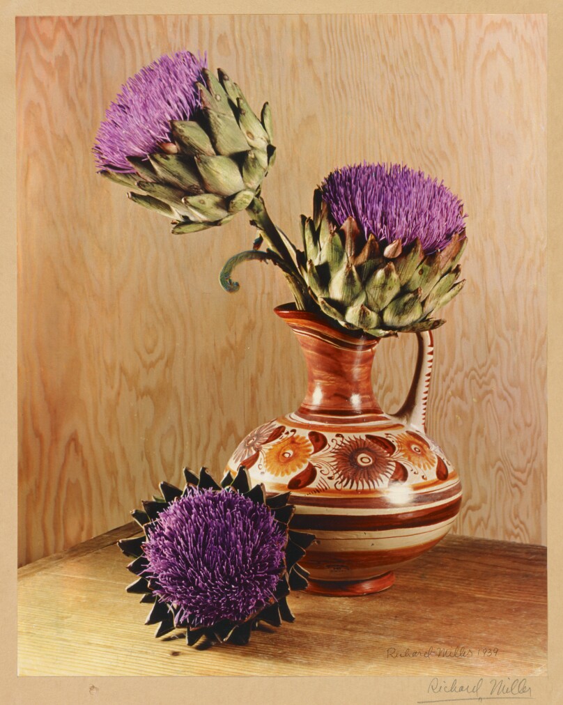 Flowering Artichokes