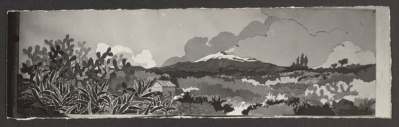 [Panorama collage]