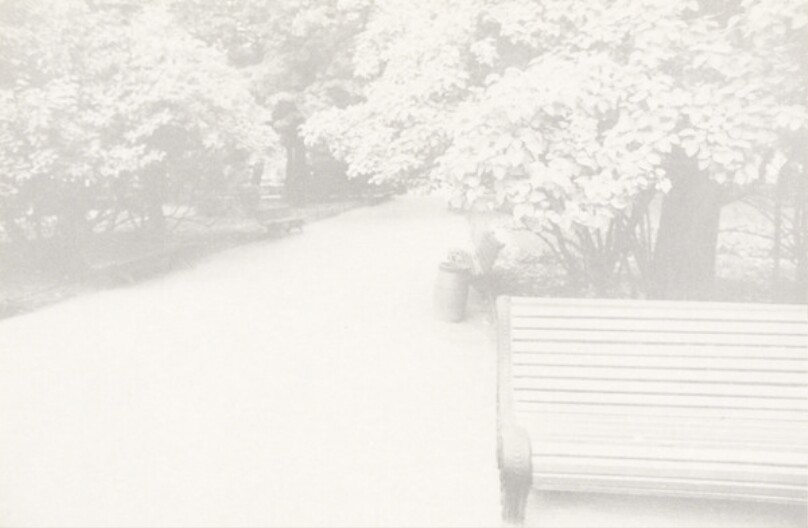 [Park Scene with Bench and Path, Leningrad, Russia]
